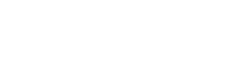 Optiplus